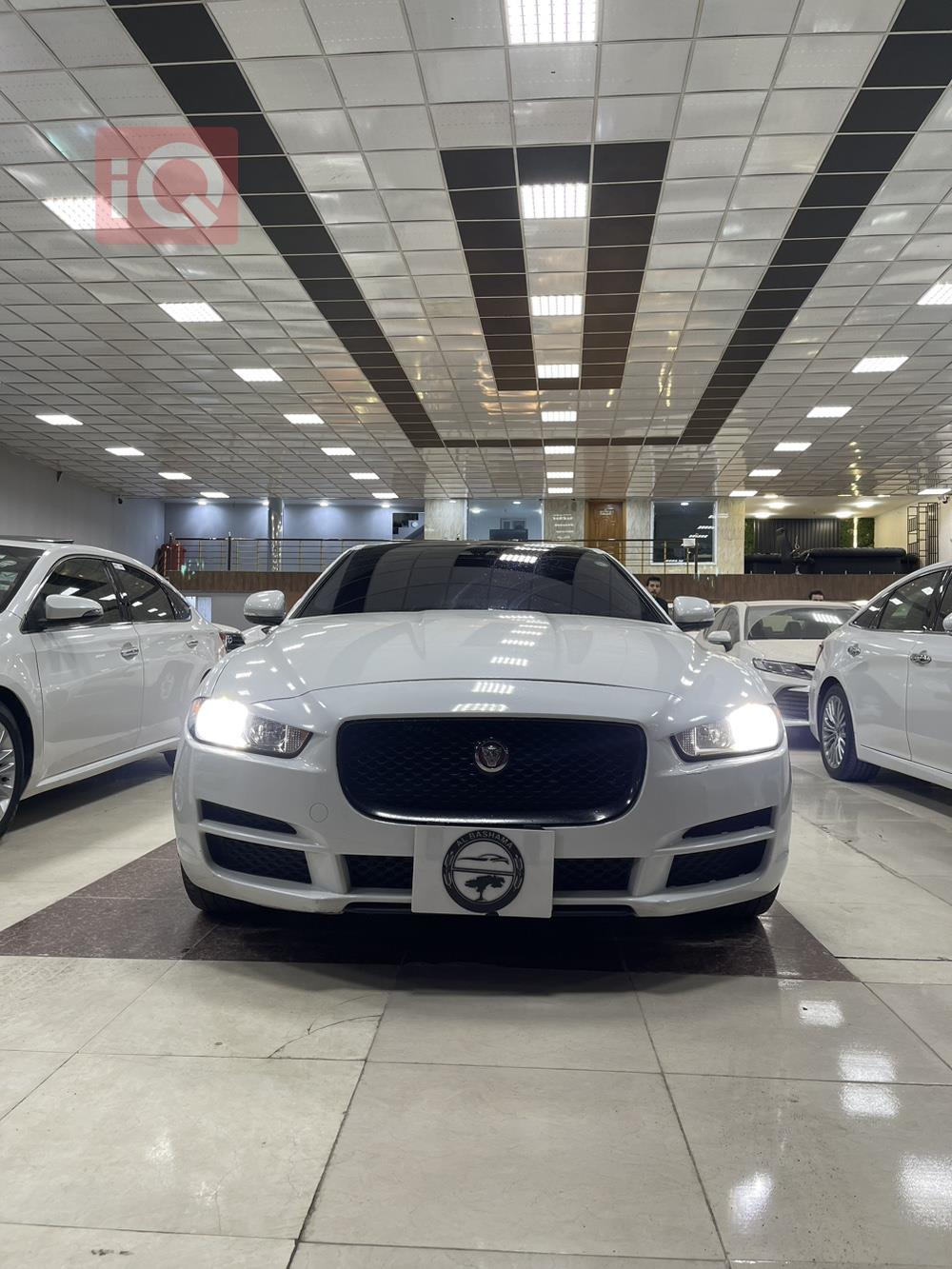 جاگوار XE